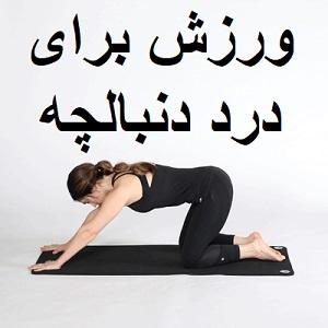 exercise-for-tailbone-pain