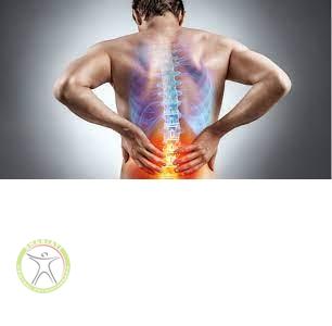 http://scpt.ir/uploads/exercise-for-back-disc-and-leg-numbness-2.jpg
