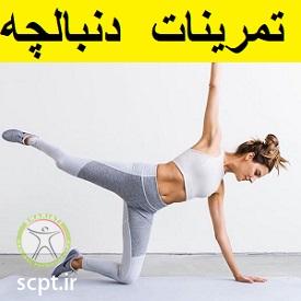 http://scpt.ir/uploads/exercise-for-tailbone-pain-1.jpg