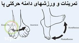http://scpt.ir/uploads/foot-physiotherapy-exercise-ROM.jpg
