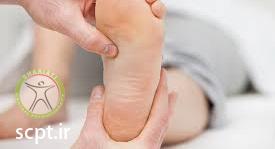 http://scpt.ir/uploads/foot-physiotherapy-patient.jpg