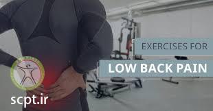 http://scpt.ir/uploads/low back pain exercises.jpg
