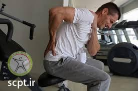 http://scpt.ir/uploads/low back pain in sport.jpg