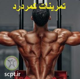 http://scpt.ir/uploads/low-back-pain-exercises-bodybuilding.jpg