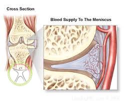 http://scpt.ir/uploads/meniscus blood supply.jpg