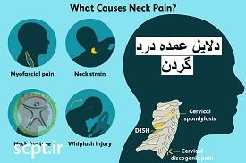 http://scpt.ir/uploads/neck-pain-causes.jpg