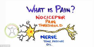 what is pain shariati physiotherapy