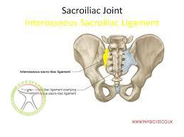 sacroiliac pelvic