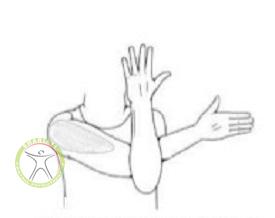 http://scpt.ir/uploads/shoulder-impingement-syndrome-exercise-3.jpg