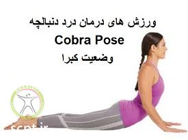 http://scpt.ir/uploads/treatment-of-tailbone-pain-exercises-cobra-pose.jpg