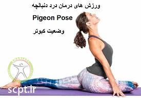 http://scpt.ir/uploads/treatment-of-tailbone-pain-exercises-pigeon-pose.jpg
