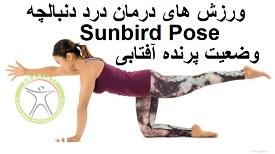 http://scpt.ir/uploads/treatment-of-tailbone-pain-exercises-sunbird-pose.jpg