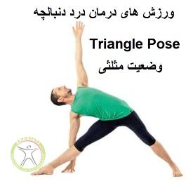 http://scpt.ir/uploads/treatment-of-tailbone-pain-exercises-triangle-pose.jpg