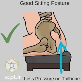 http://scpt.ir/uploads/treatment-of-tailbone-pain-sitting-position-good-posture.jpg
