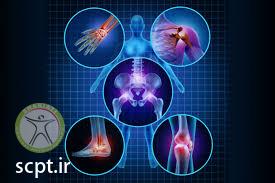 pain body part physiotherapy shariati