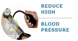 http://scpt.ir/uploads/whole-body-vibration-effects-blood-pressure.jpg