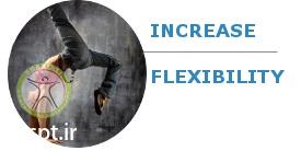 http://scpt.ir/uploads/whole-body-vibration-effects-flexibility.jpg