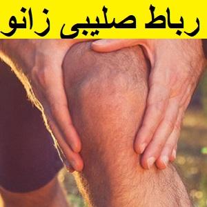 cruciate-ligament-of-the-knee