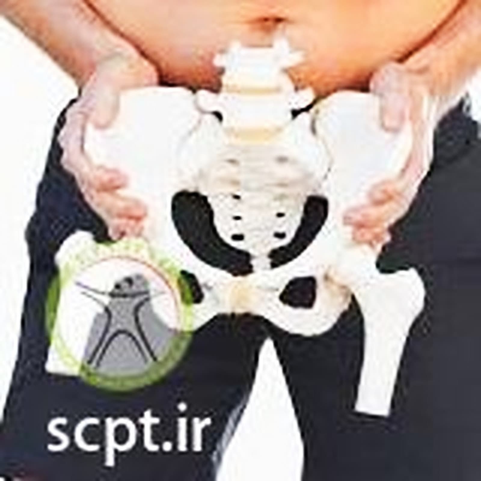 فیزیوتراپی در پوبیس+آسیب شایع ورزشکاران+groin