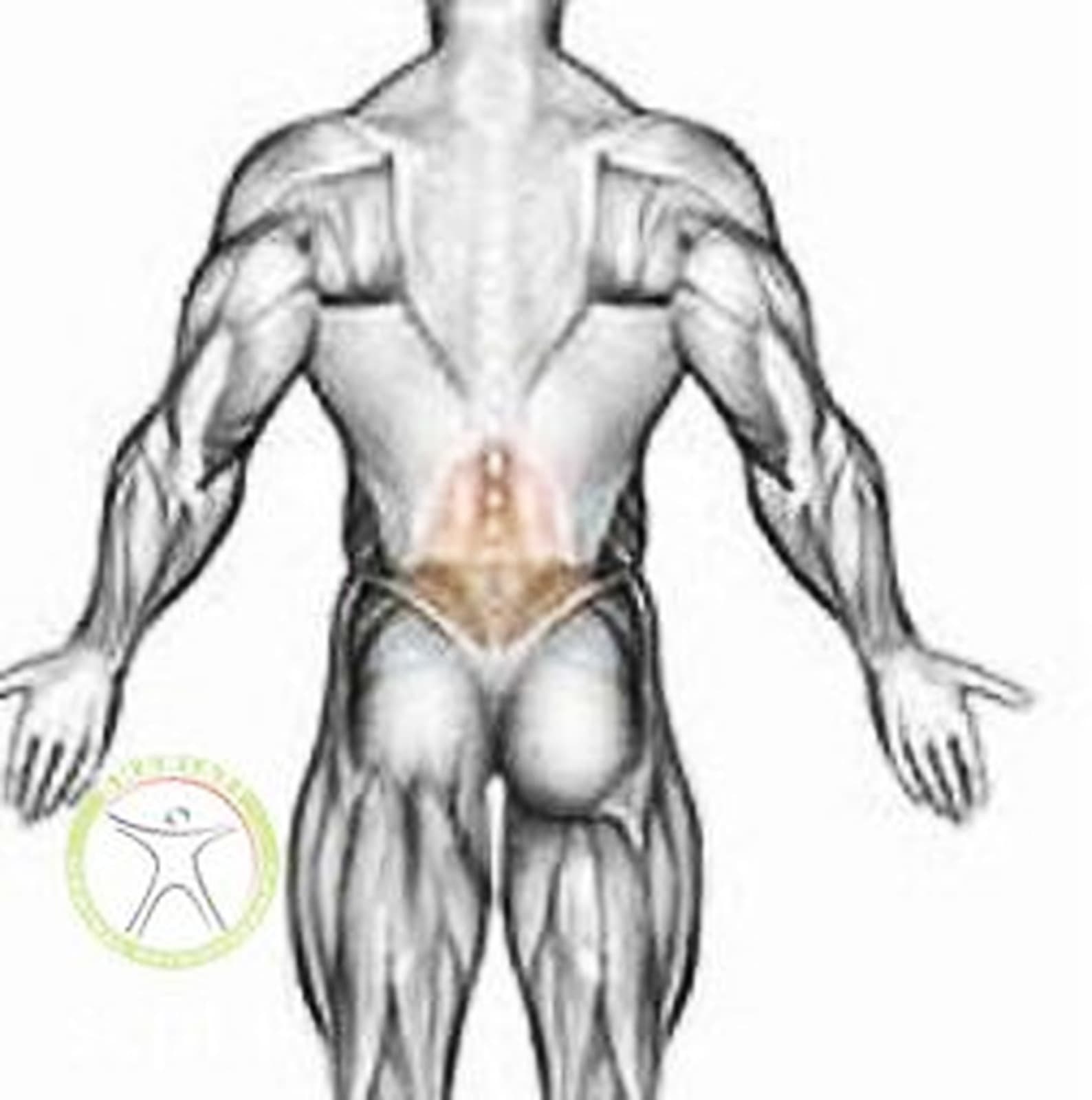 فیزیوتراپی کمر-تمرین های طبی فیزیوتراپی کمر-کلینیک فیزیوتراپی شریعتی