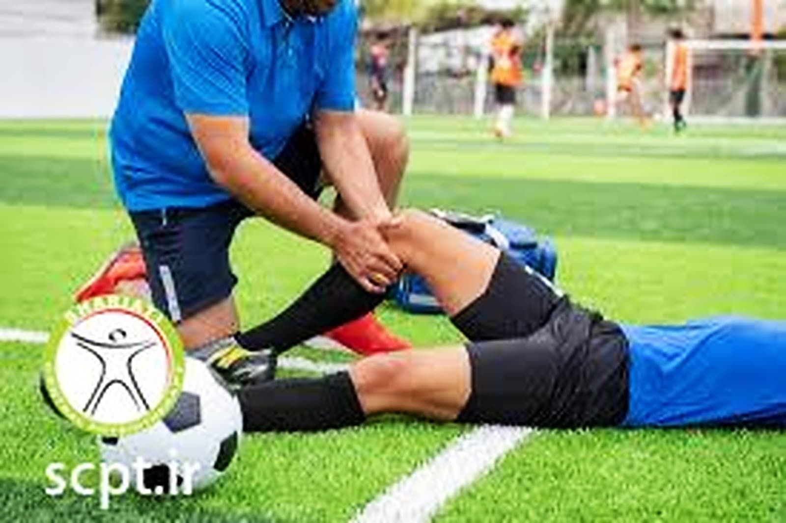 آناتومی مکانیسم کشیدگی و پارگی رباط صلیبی قدامی و توانبخشی
