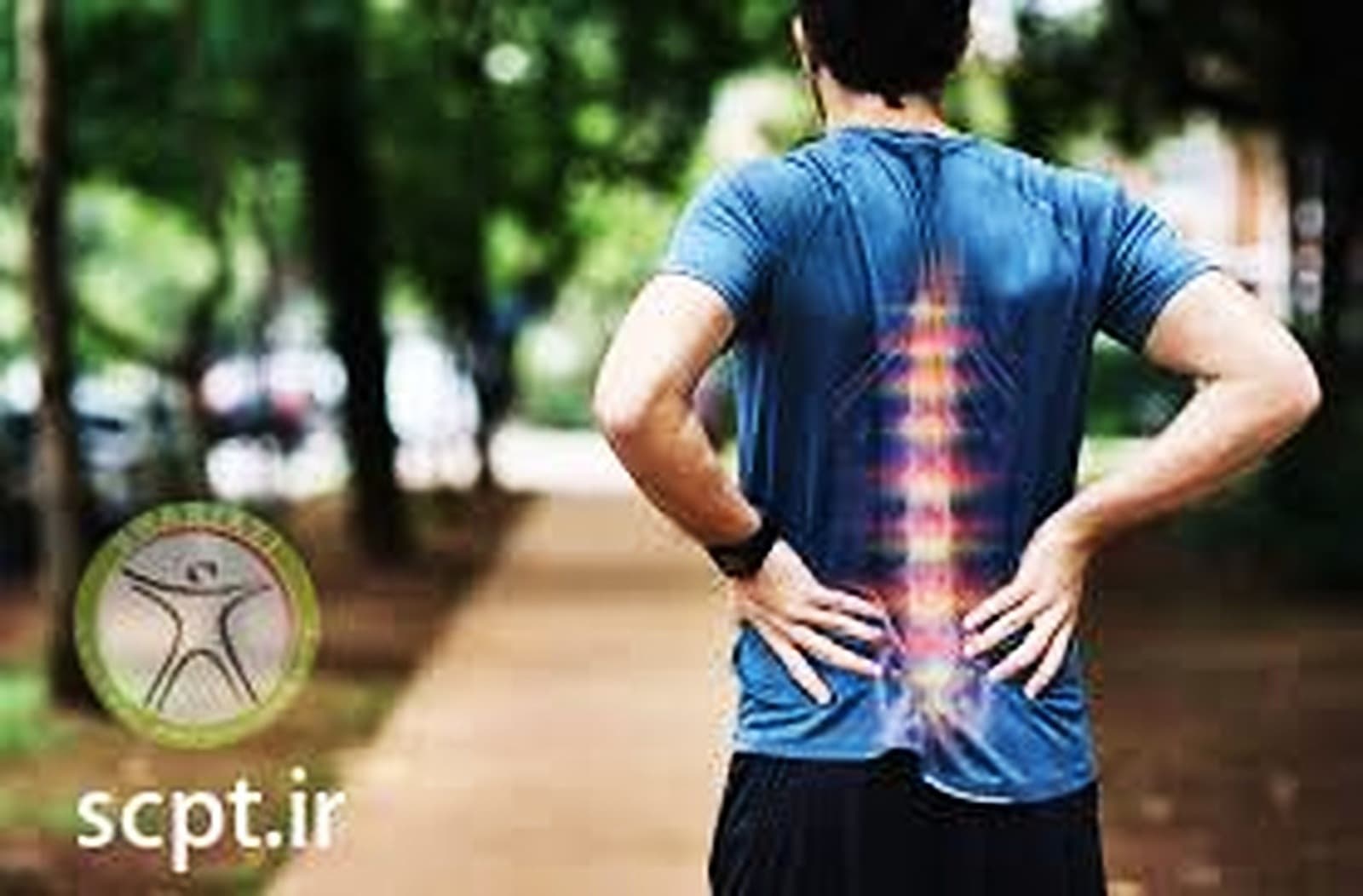 درمان دیسک گردن و کمر با فیزیوتراپی و روش های غیر جراحی توسط دکتر رضایی
