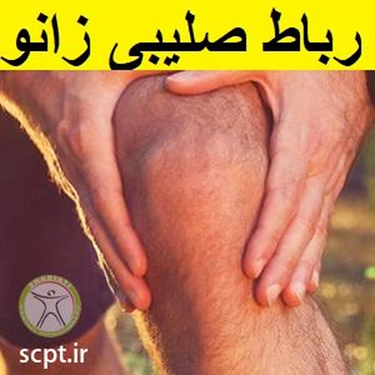 رباط صلیبی زانو
