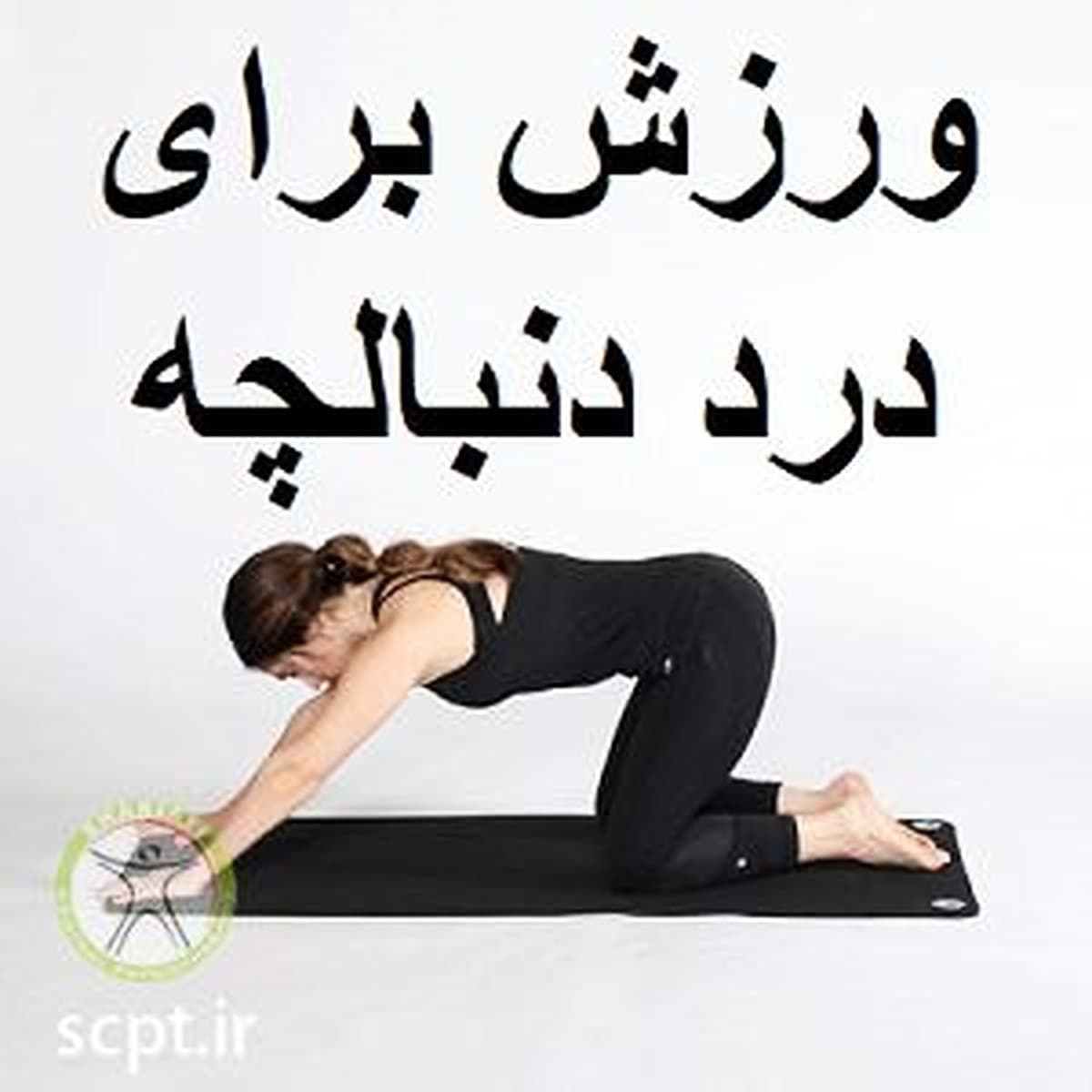 ورزش برای درد دنبالچه