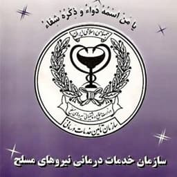 بیمه مسلح