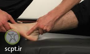 ankle assessment