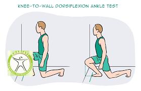 http://scpt.ir/uploads/ankle exercise knee to wall.png