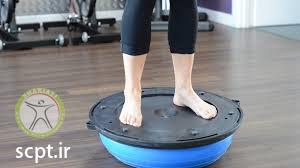 http://scpt.ir/uploads/ankle exercise wobble board 2.jfif