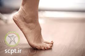 http://scpt.ir/uploads/ankle exercise.jfif