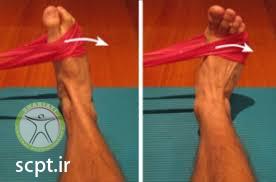http://scpt.ir/uploads/ankle strengthening exercise elastic band 3.jfif