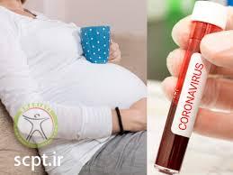 http://scpt.ir/uploads/corona virus pregnancy.jpg