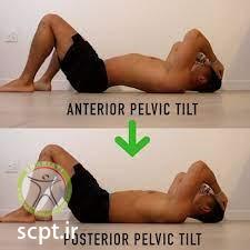 http://scpt.ir/uploads/disc-herniation-home-treatment-exercises-tuck-tilt.jpg