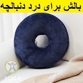 http://scpt.ir/uploads/donut-shaped-pillow.jpg