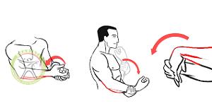 http://scpt.ir/uploads/elbow ROM exercise 2.png