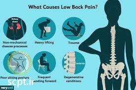 http://scpt.ir/uploads/low back pain causes 1.jpg