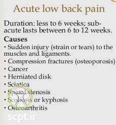 http://scpt.ir/uploads/low-back-pain-acute-chronic-1.jpg