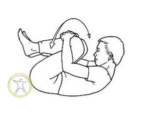 http://scpt.ir/uploads/lumbar exercise double knee to chest.jpg
