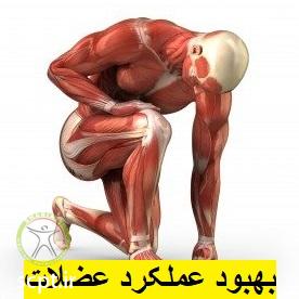 http://scpt.ir/uploads/massage-shariati-clinic-muscle-effect.jpg