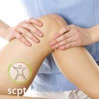 http://scpt.ir/uploads/mcl injury physiotherapy.jpg