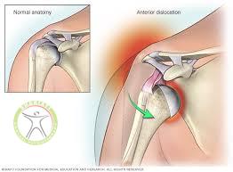 http://scpt.ir/uploads/shoulder dislocation anatomy.jpg