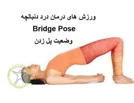http://scpt.ir/uploads/treatment-of-tailbone-pain-exercises-bridge-pose.jpg