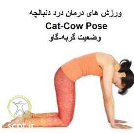 http://scpt.ir/uploads/treatment-of-tailbone-pain-exercises-cat-cow-pose.jpg