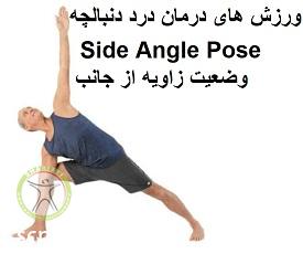 http://scpt.ir/uploads/treatment-of-tailbone-pain-exercises-side-angle-pose.jpg