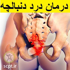 http://scpt.ir/uploads/treatment-of-tailbone-pain.png