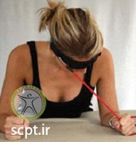 http://scpt.ir/uploads/useful-exercises-neck-disc-bulge-resistance-e-1.jpg