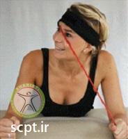 http://scpt.ir/uploads/useful-exercises-neck-disc-bulge-resistance-e-2.jpg